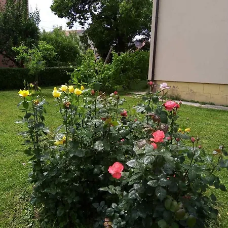 Filip Apartment